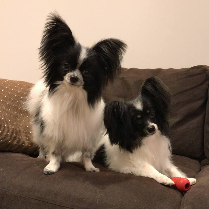 1dad339c 2c0e 4907 9585 38a710f1e1b9 1517658025318