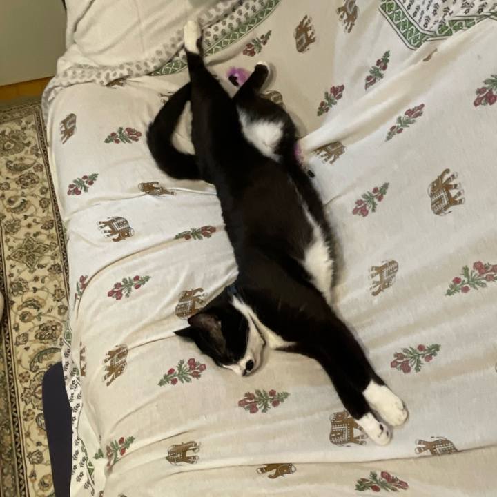 1dad3ed4 0e53 4f78 846a f0923d701869 1708342130103