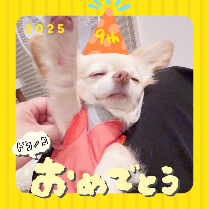 1dad45d7 7822 4eba a943 81175be44cc9 1749297805687