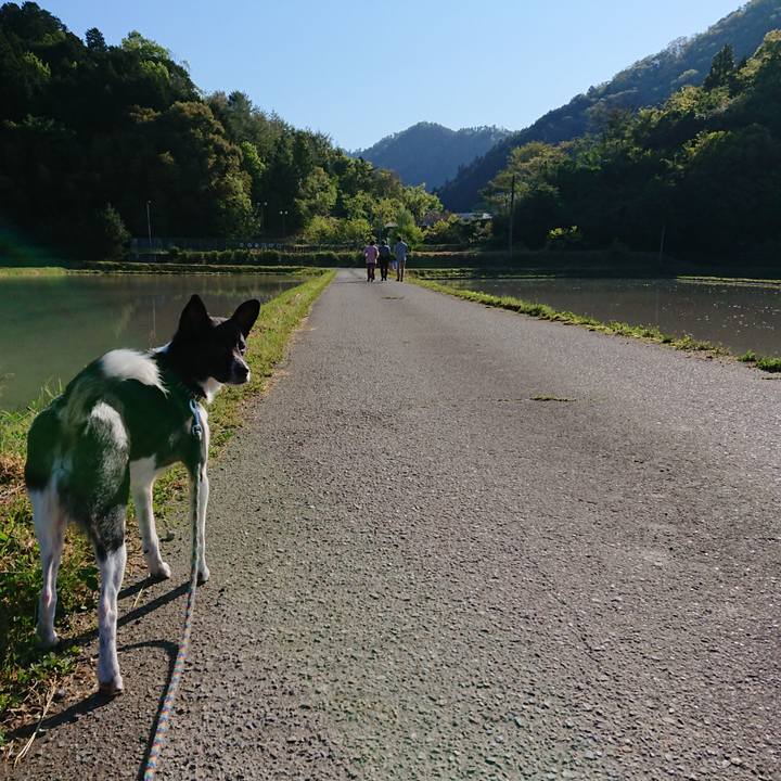 1dad6b94 b1a0 4507 b669 d00e79c3764f 1557187633381