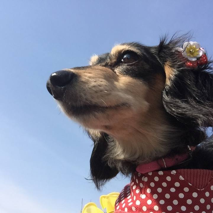 1dada90b 1cd2 4761 9ce7 e203abde8a7c 1519006351420