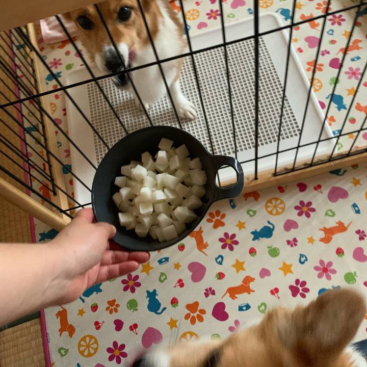 1dadae59 20a2 4ed8 a494 74c65889bf2d 1624414359956