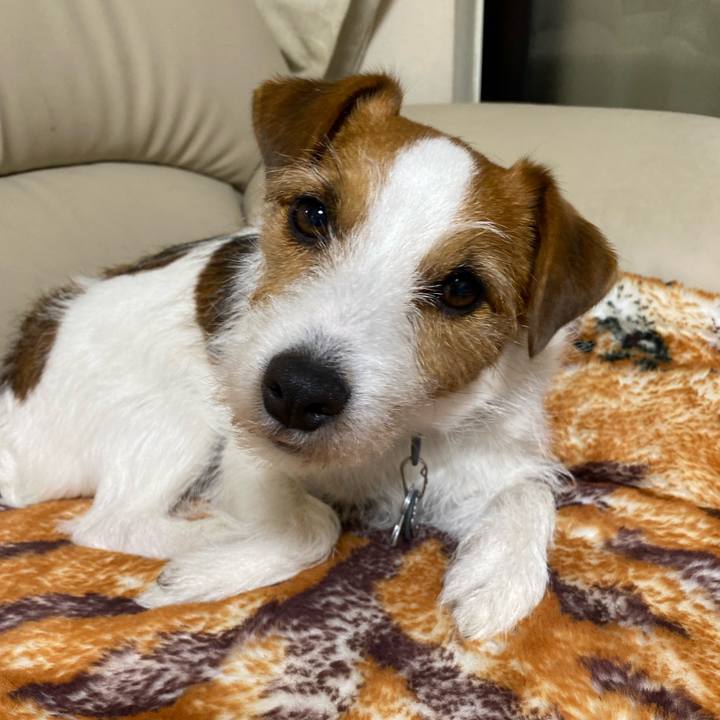 1daddc0d ac46 498b 9150 8a89c6f33049 1772580506906