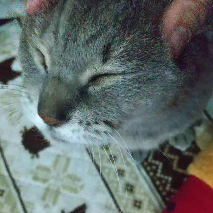 1dae0543 ecff 4f2a 9ee7 220b38021375 1675762147302