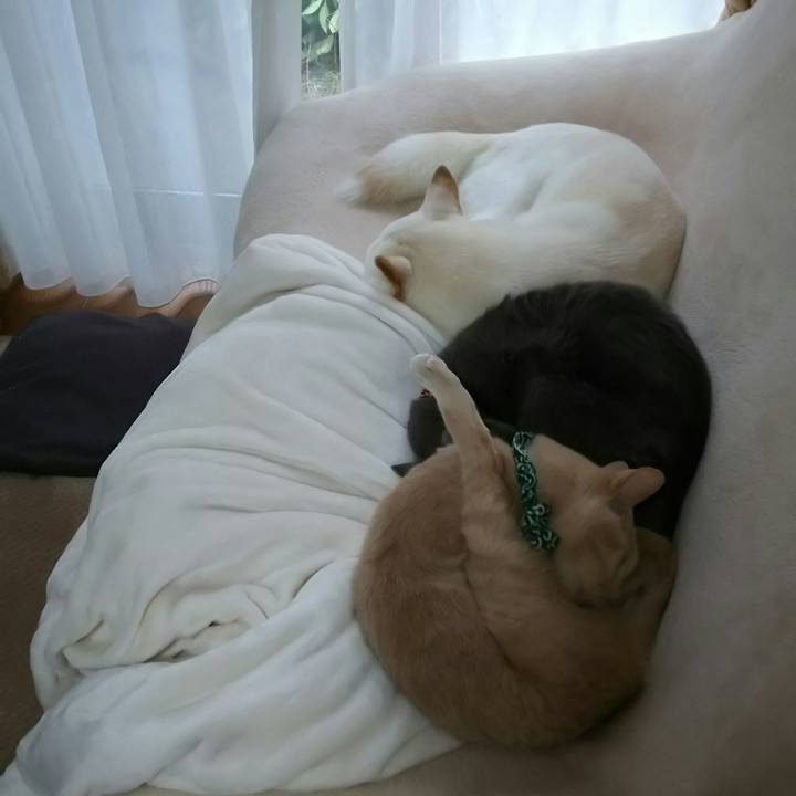 1dae3ac0 b3c3 4a6d 951d 9b1e881e39c8 1519542055359