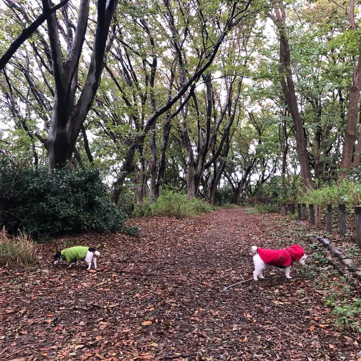 1dae4530 3190 4639 aebb 845bb34615db 1570490514207