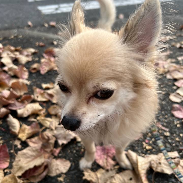 1dae6801 4250 40d6 87ca e72c368b22cd 1668243448763