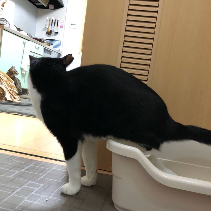 1dae69a4 98e9 4886 915d 03ed0b751b04 1541467523712