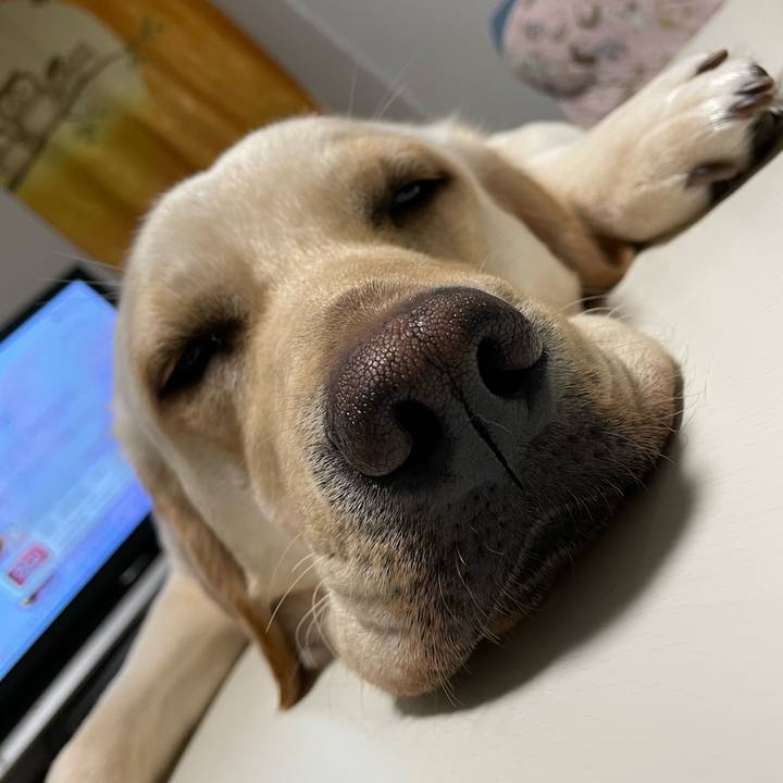 1dae8b00 690c 4470 84bf 14f9d0520e2e 1650205093493