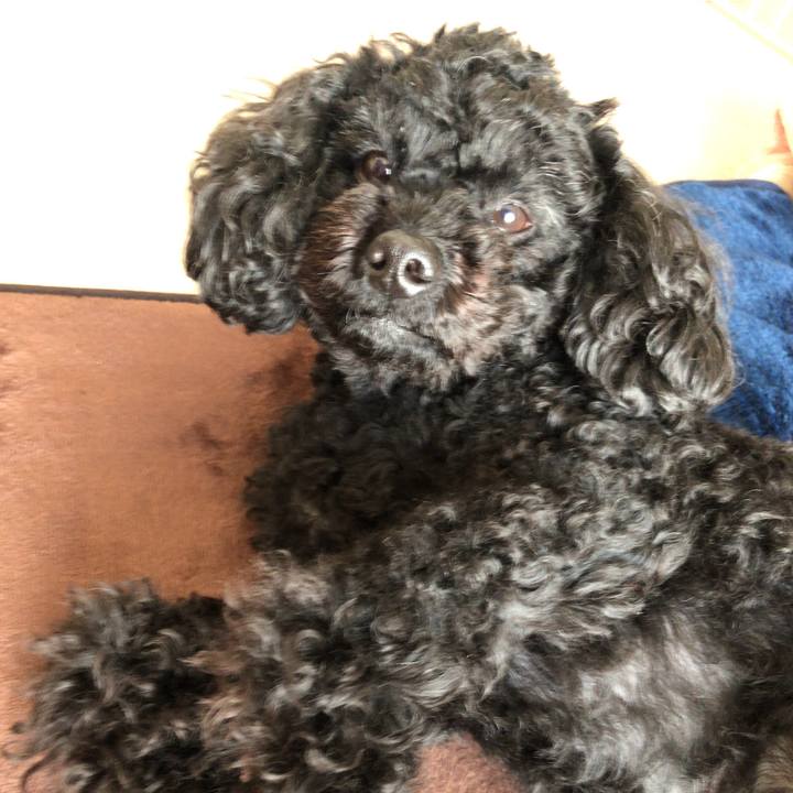 1dae8de9 a21c 4a94 a94d 12dbdd5c11a9 1554726777544