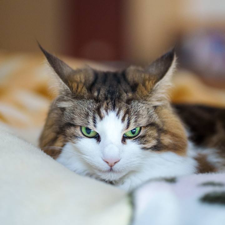 1daeb56e 6dec 4f42 a46b a5c88b24afda 1772599414569