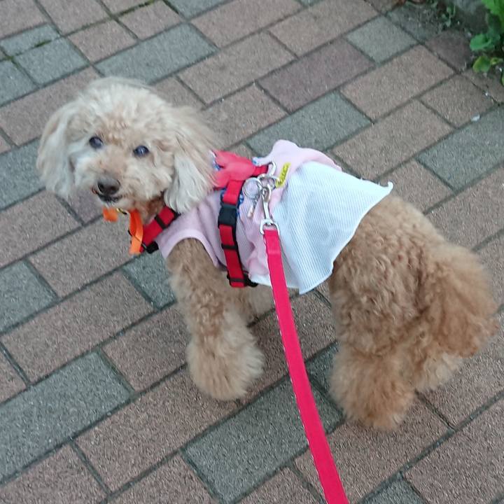 1daef006 1bd6 439f bd96 320d601ceefc 1593686325294