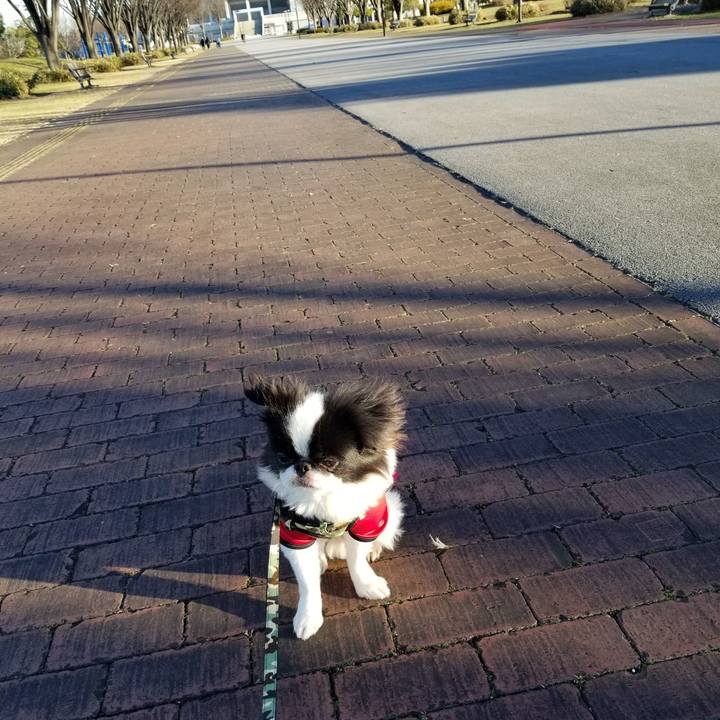 1daf30d1 2dc0 4e2c 82dd 00357ca23902 1639818768096