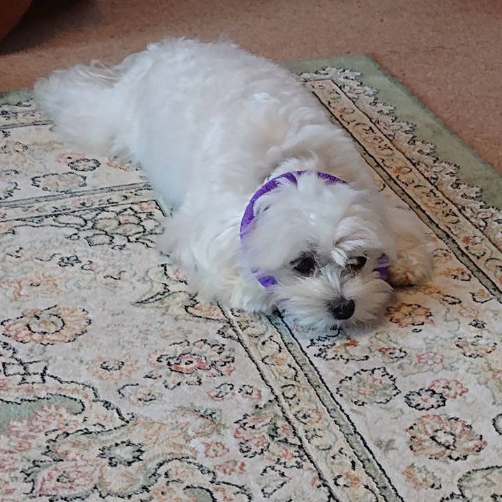 1daf48e8 7b9c 451b 8f5b 2f492a2700ee 1589882781519