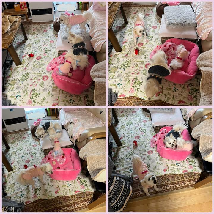 1daf6520 ad16 45b3 a53f f40db585327a 1708067390233