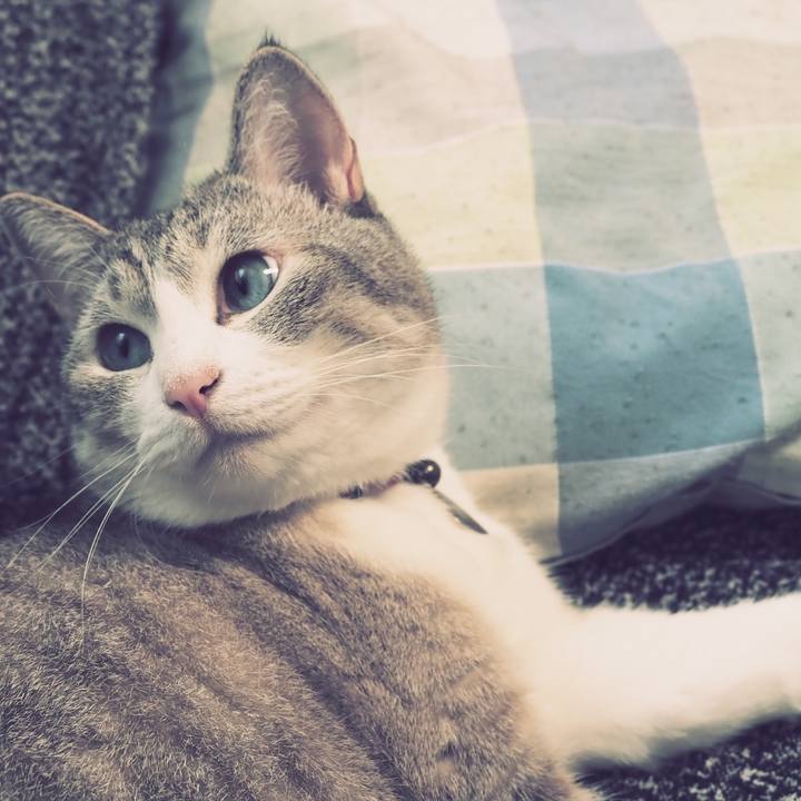 1daf87ce ada0 4168 b0db c0897764fd83 1596858654048