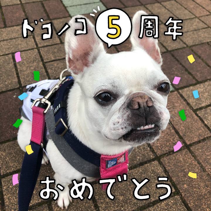 1daf8d77 2816 4c20 8458 f41543577eac 1622944817168