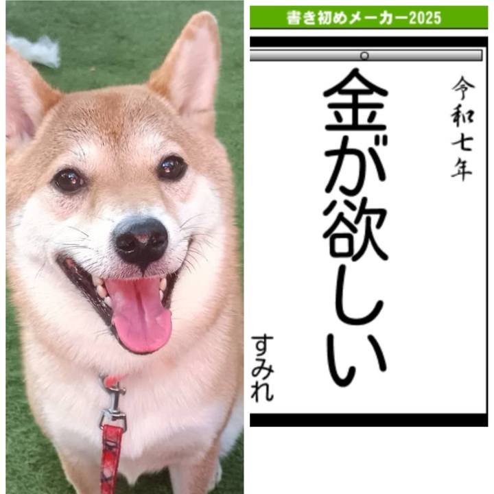 1dafdcf9 f0b4 4fa1 a790 871e0eca09e0 1735991668236