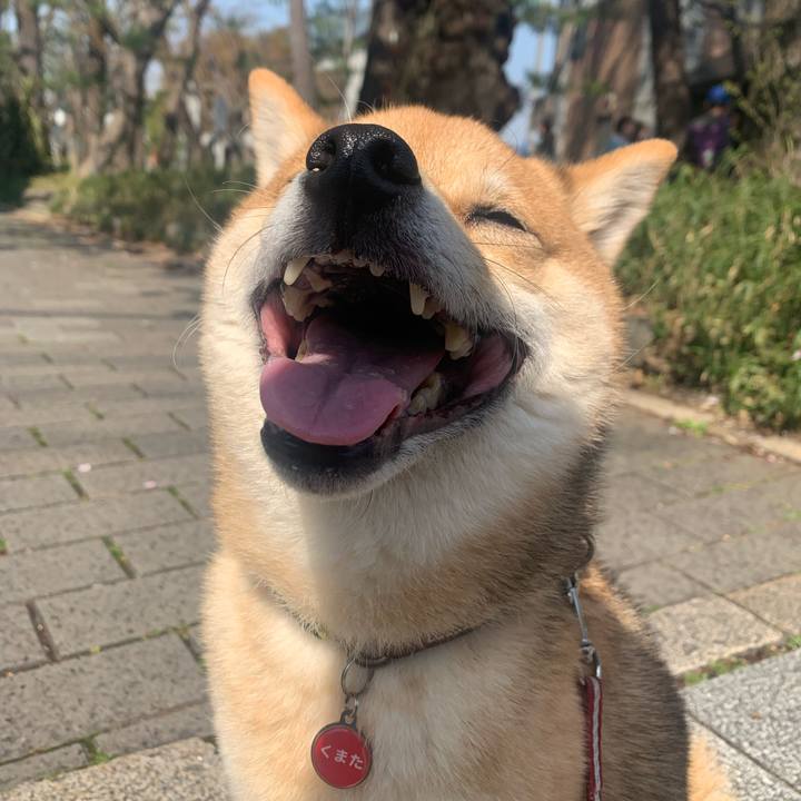 1db016a5 46dd 4145 b9e5 42bd62158565 1774681305330