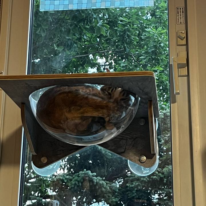 1db024b7 7866 4fce aafb d36674a68202 1718531481260