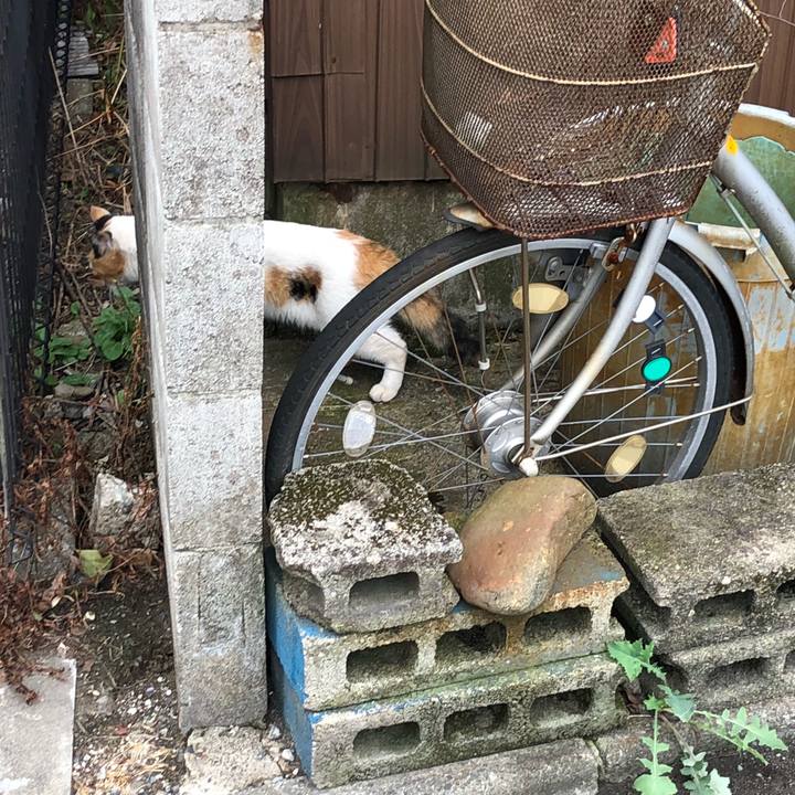 1db043e0 0c84 4717 bb05 d30b3b7c26ac 1536309132281