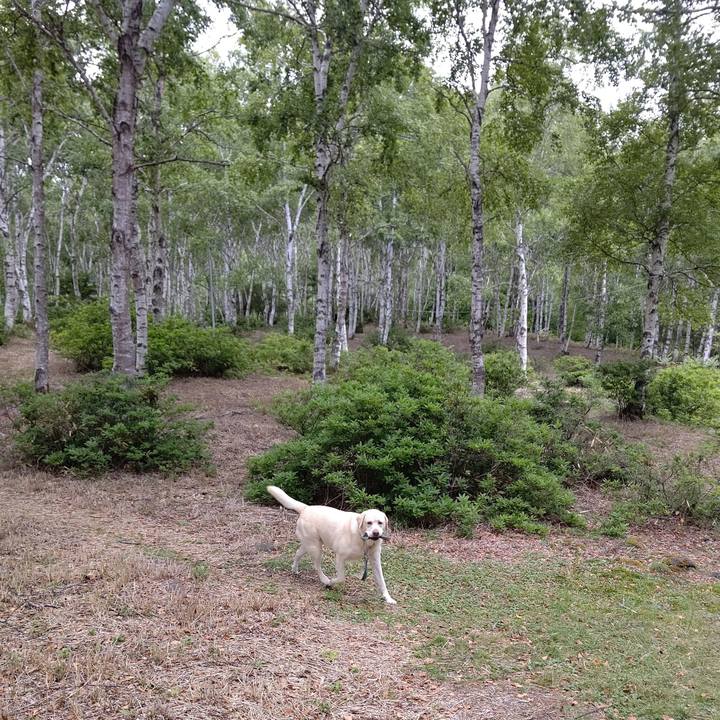 1db04c66 d206 4de9 bd5d ac47b0e0580e 1691477962199