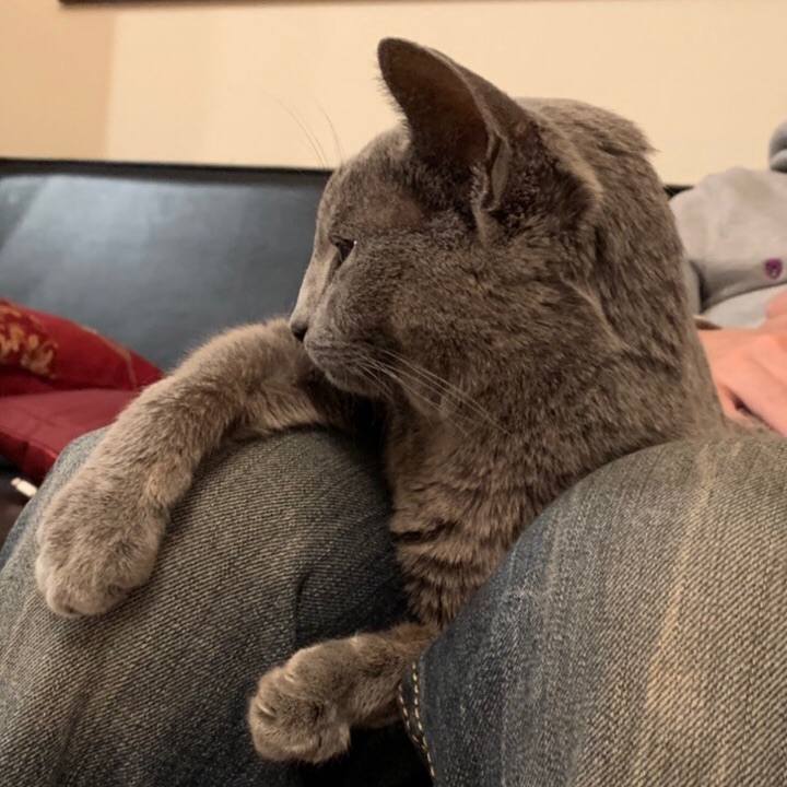 1db05def 1184 4555 8099 b0ccd3c77447 1576797714430