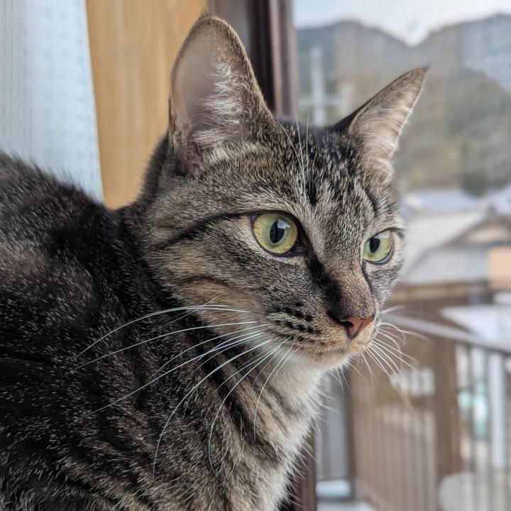 1db05eed 67ca 4fb8 a063 e7101cb7222e 1738405899090