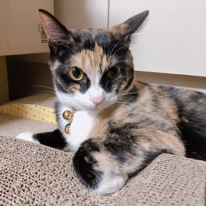 1db0968d 28a0 4ddf b456 eeaf249ee3e6 1570965596639