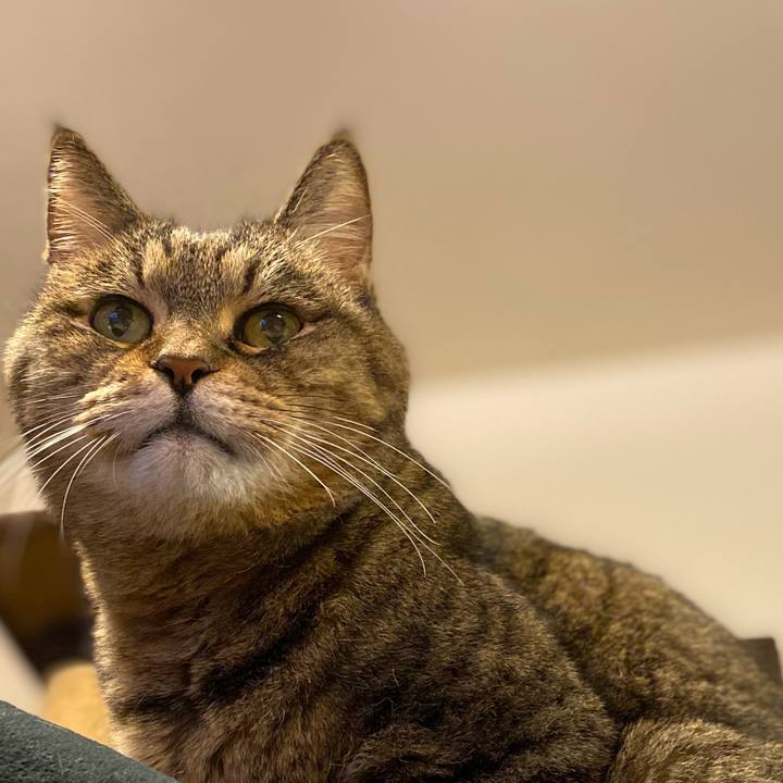 1db0a791 a9e2 4257 b037 65c2b9a6a5c6 1763293145670