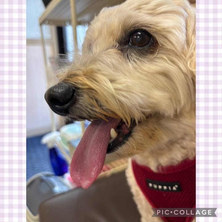 1db0bc9f 0058 47f3 9149 de919fef3039 1766199287630