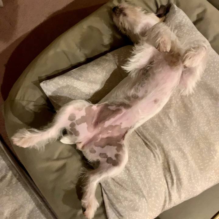 1db0f11e bdfb 4b88 8f52 2119eb7844ee 1629556641259