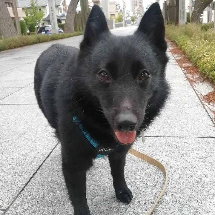 1db13211 adfe 429f b04a a239a97596d5 1656969549472