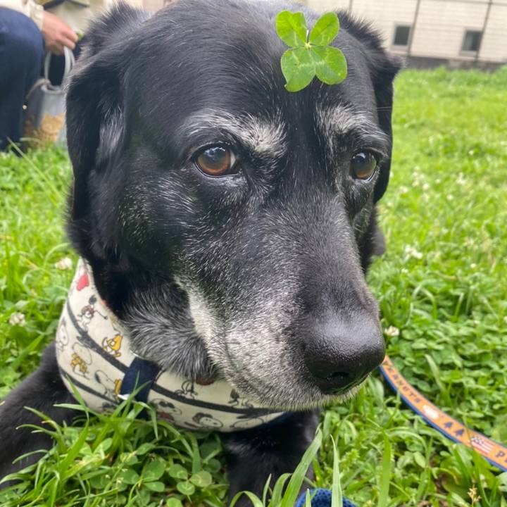 1db16bda c0b6 4e87 b407 69877c6f5b2d 1651100233286