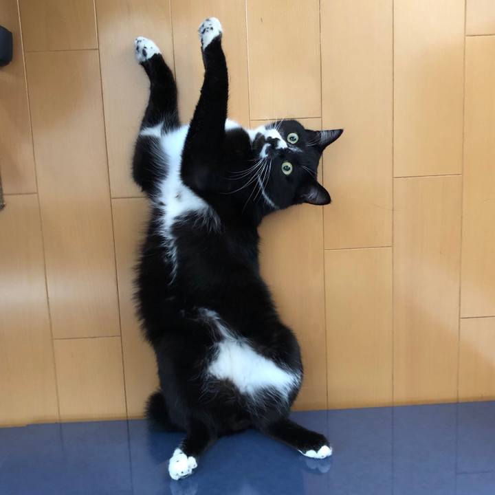 1db16fba 62da 4a88 9f30 616b218e3395 1525520836894