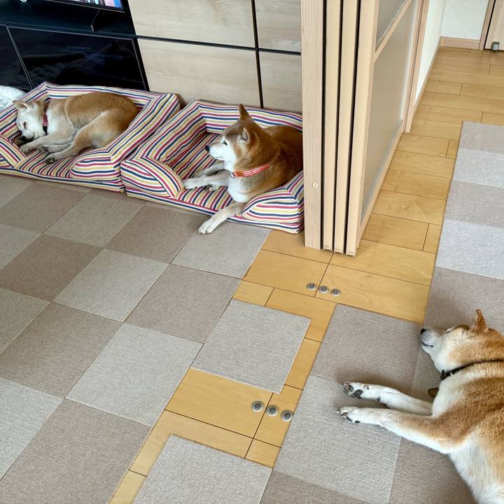 1db1981d 6d0b 4761 bd98 9cb046312419 1757090635634