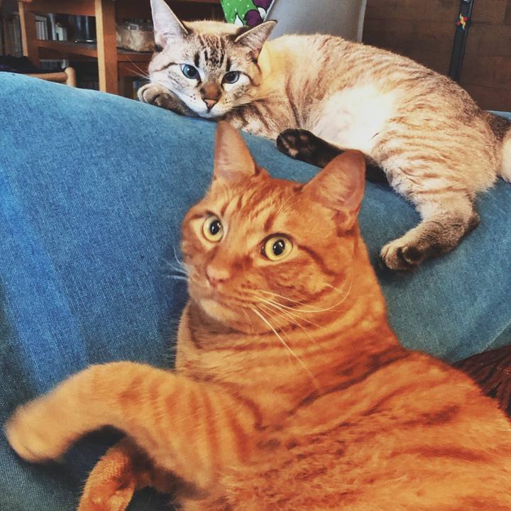 1db19901 eb0c 4628 91ba ef65fb4720cb 1758924019984