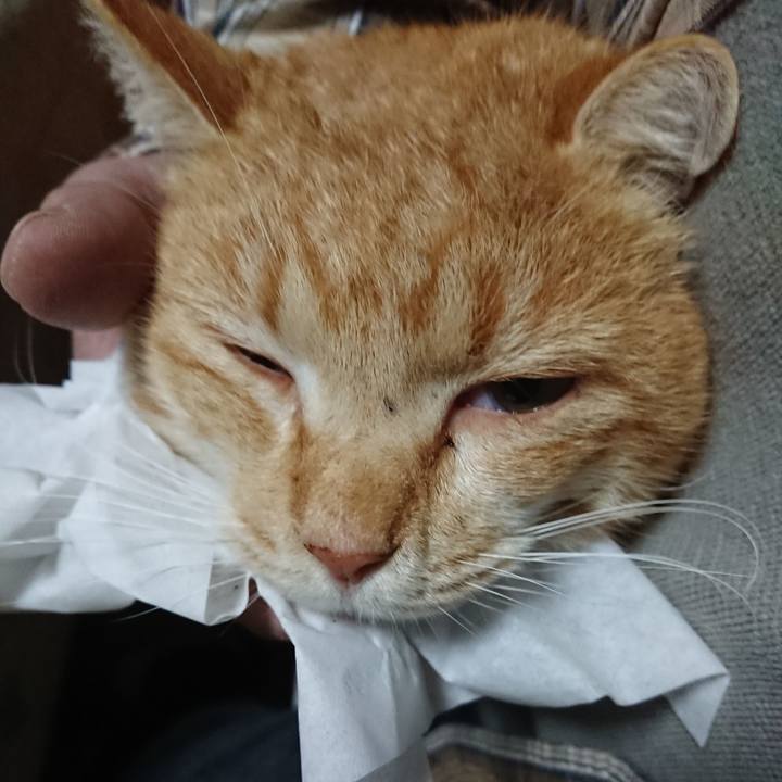 1db1c238 c379 4b24 8768 f0807e627c7e 1580726578334