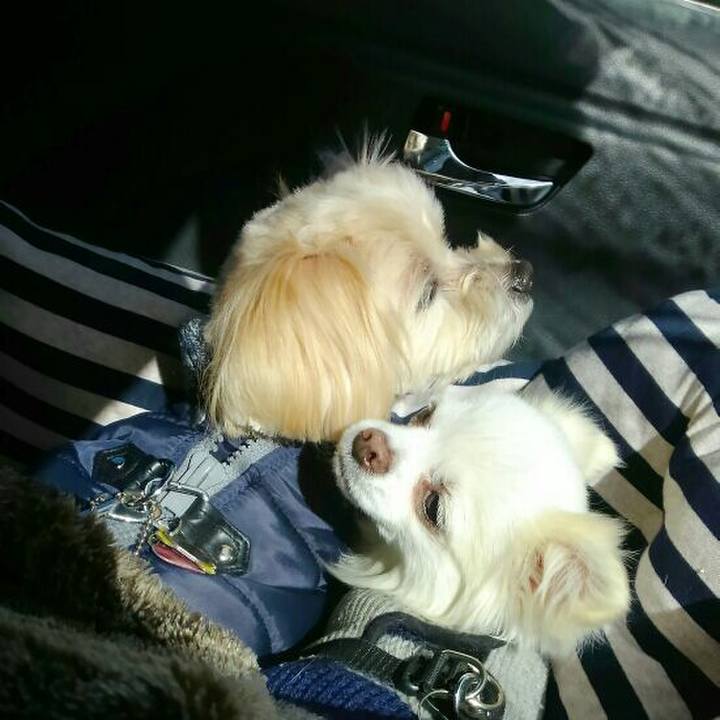 1db1dc22 68b0 4aed ae40 e96c3d17a2b3 1548567423126