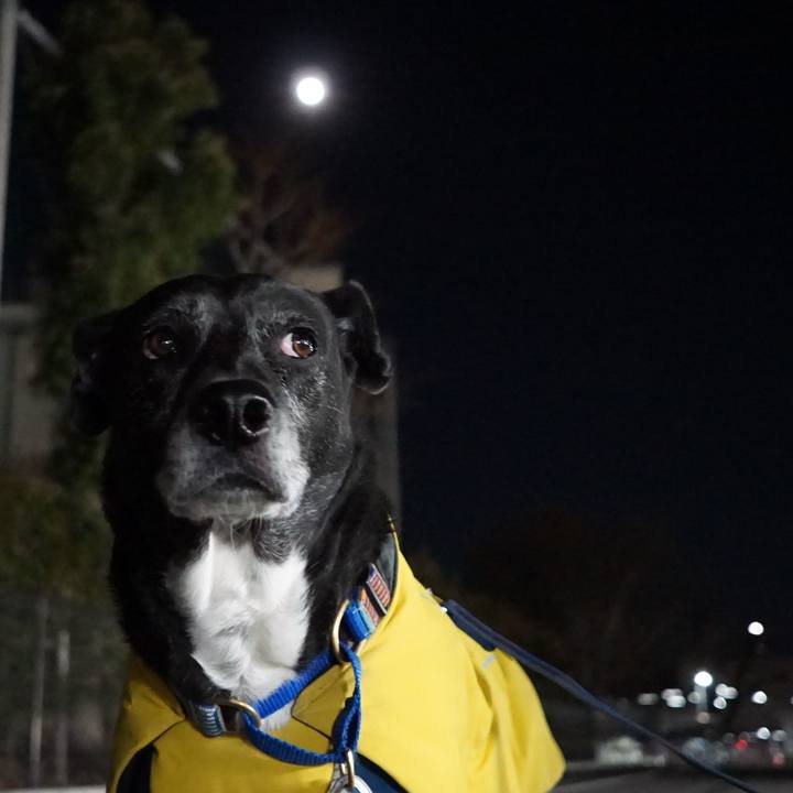 1db21669 e28e 4c76 bc72 f9d8839f6ad4 1767449554067