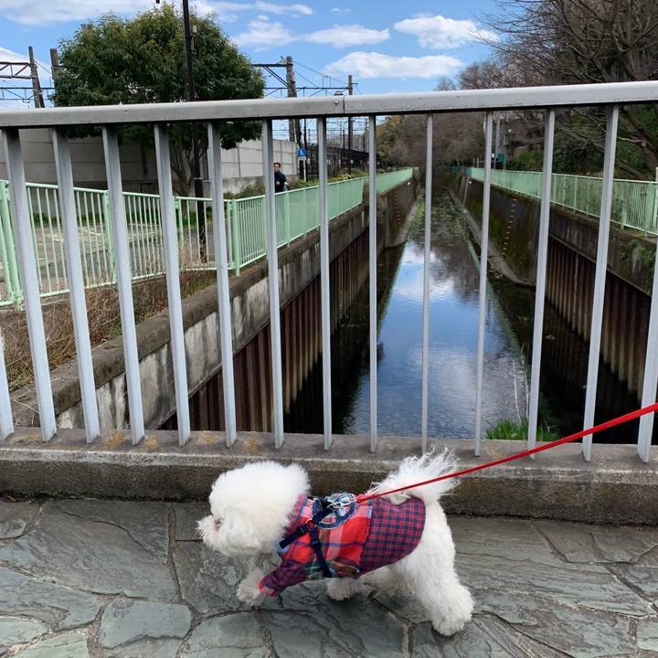 1db2223d b53a 4995 af15 bf8ce01f5b9f 1584247723578