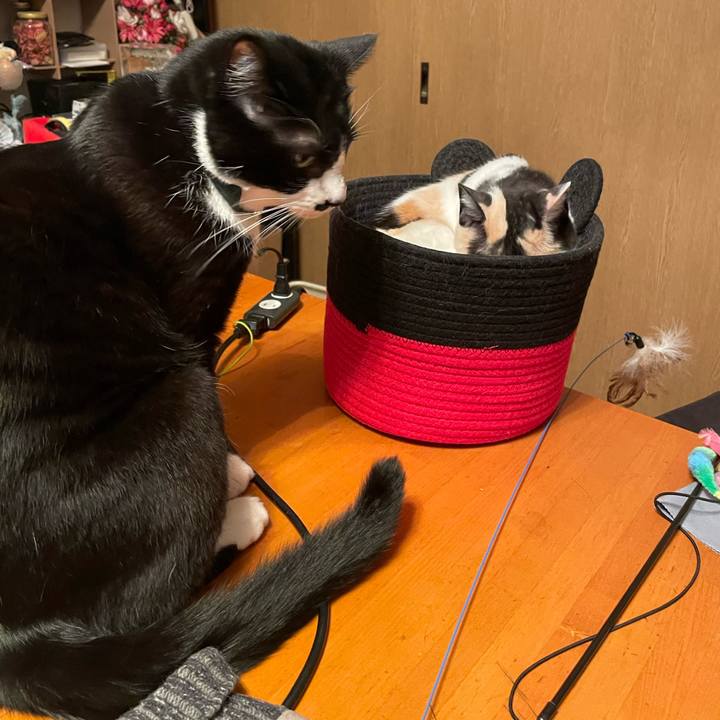 1db22e3a 8e03 45eb 8e96 f905a6be5de8 1743159180274