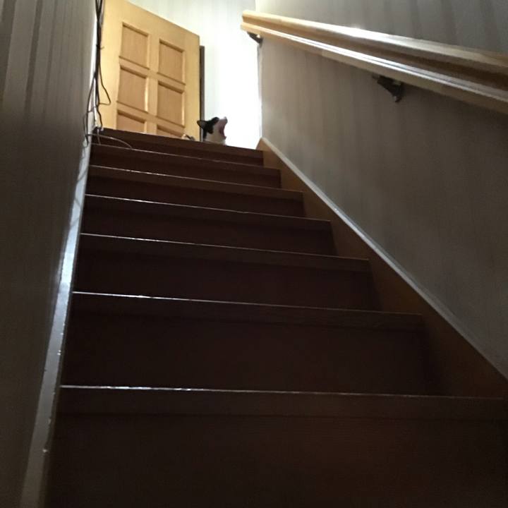 1db23061 96ad 4ff1 8fd8 5d33bf718998 1695288023956