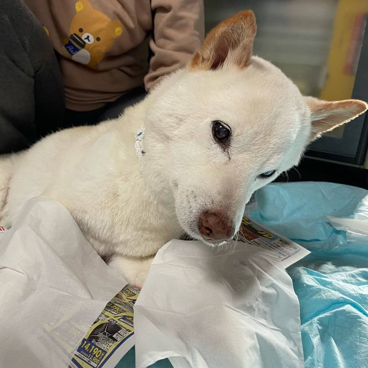 1db258e1 6a98 4562 a9cf b9948d73b12b 1651329879106