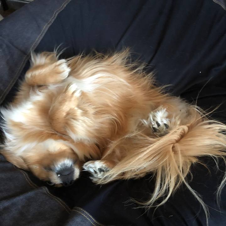 1db25b77 46df 4ad7 8fb5 a93da50ce629 1558740845663