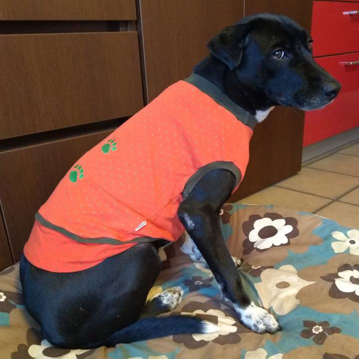 1db274aa 17d4 44c1 838b 65c282aab98f 1608113301210