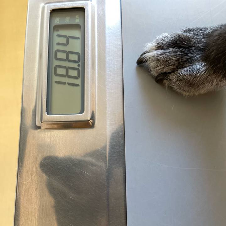 1db2b2b5 9bea 4c5e 95fc 88653494b0f0 1774335465077