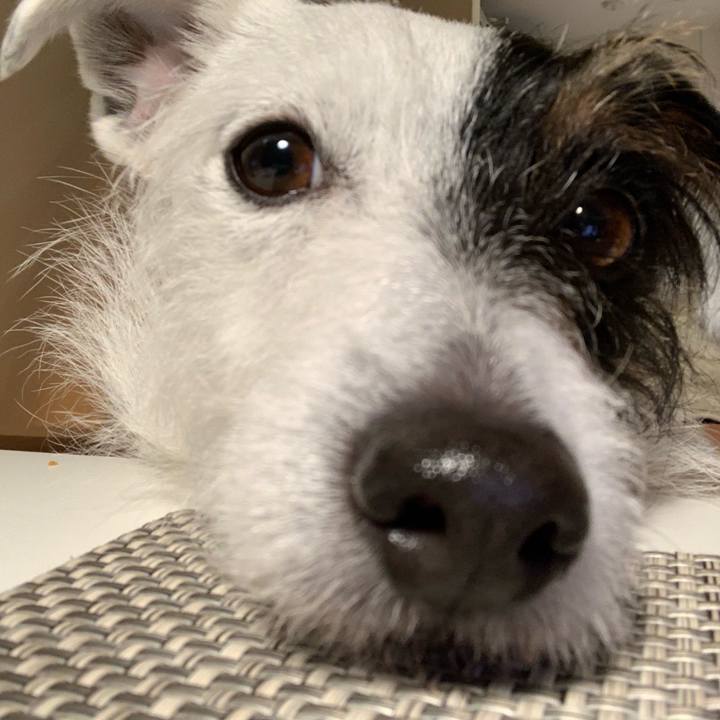 1db2c096 d333 4b34 8a9a f69342d12028 1613209384390