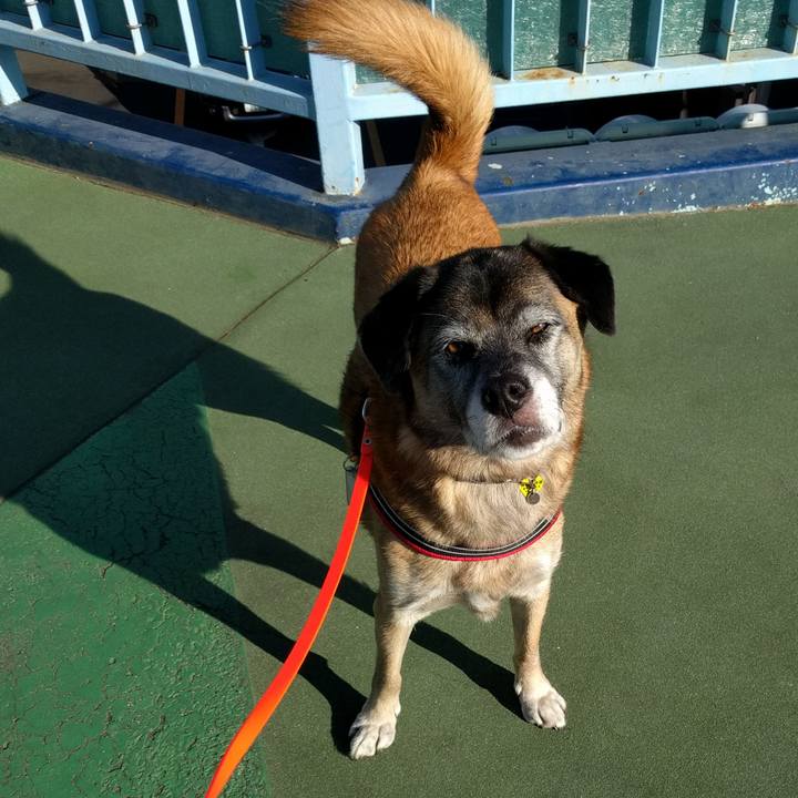 1db2c83c f0ba 40e4 9085 92c50dfa4cc8 1694219833774