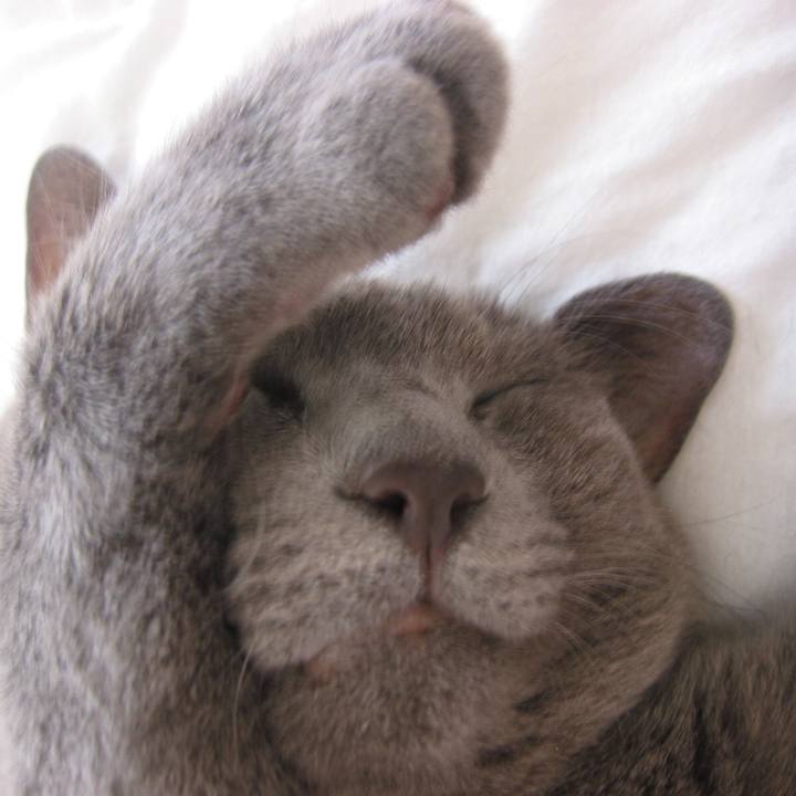 1db2cfd0 3613 43c3 8abd 293cc2e0944e 1519784340792